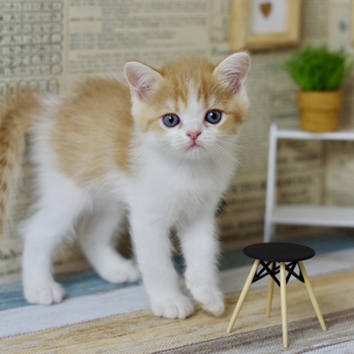 IMG_1548.JPEG - 108,170BYTES