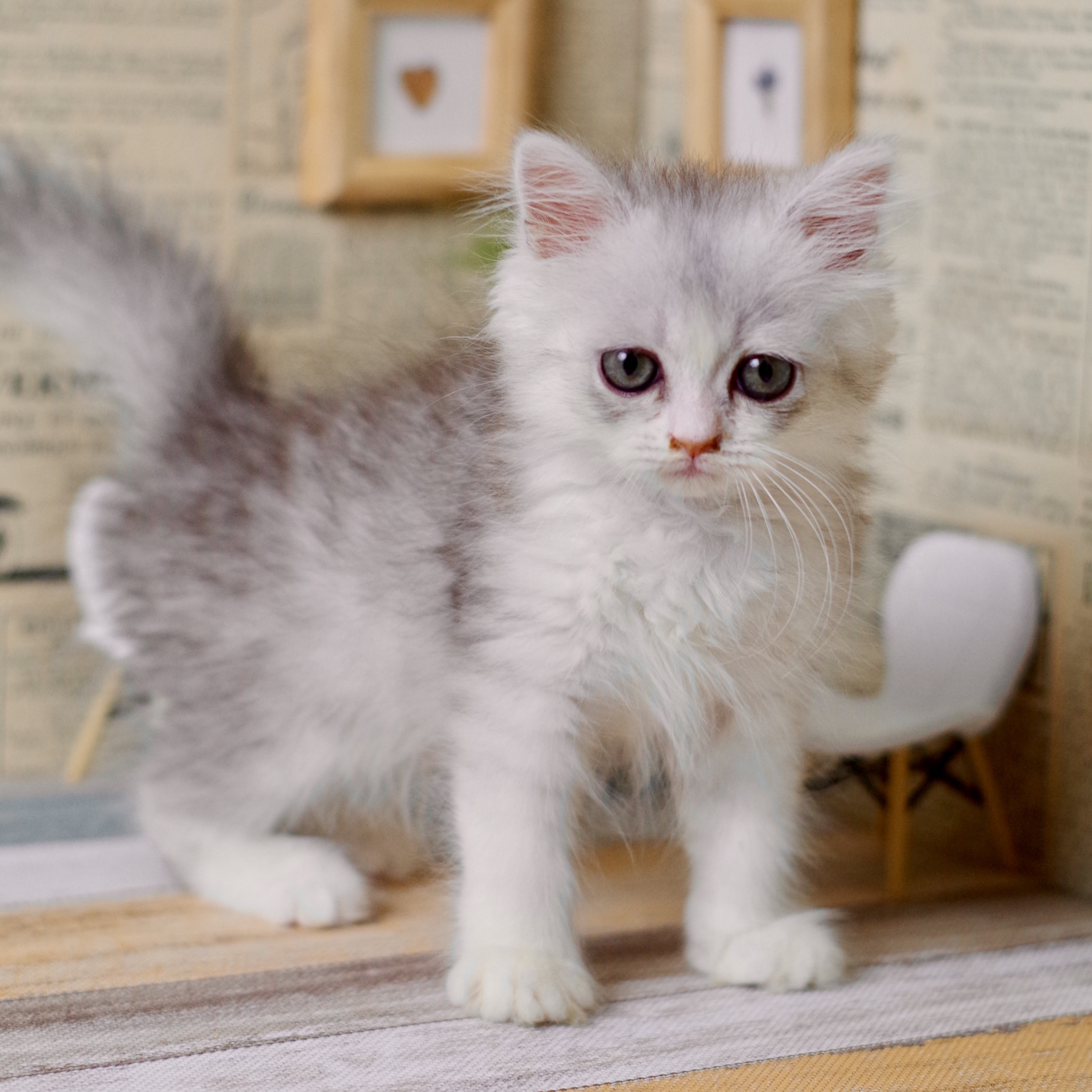 IMG_1670.JPEG - 1,142,216BYTES